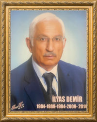 İlyas DEMİR